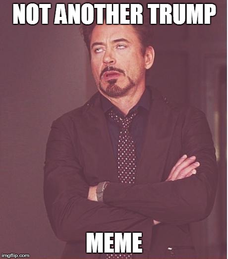 Face You Make Robert Downey Jr Meme | NOT ANOTHER TRUMP; MEME | image tagged in memes,face you make robert downey jr | made w/ Imgflip meme maker