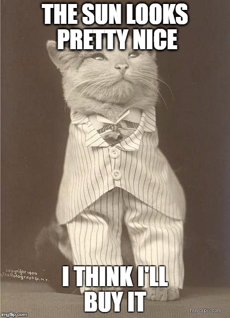 Fancy Cat | THE SUN LOOKS PRETTY NICE; I THINK I'LL BUY IT | image tagged in fancy cat | made w/ Imgflip meme maker