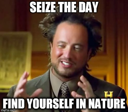 Ancient Aliens | SEIZE THE DAY; FIND YOURSELF IN NATURE | image tagged in memes,ancient aliens | made w/ Imgflip meme maker