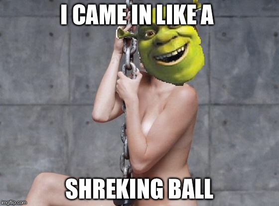 Miley Cyrus Shrek | I CAME IN LIKE A; SHREKING BALL | image tagged in miley cyrus shrek | made w/ Imgflip meme maker