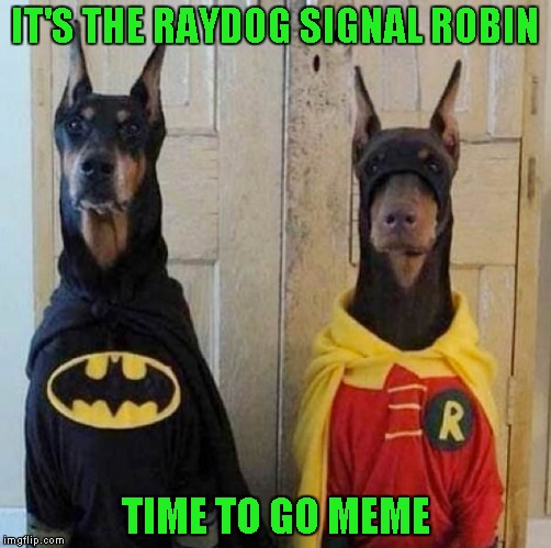 IT'S THE RAYDOG SIGNAL ROBIN TIME TO GO MEME | made w/ Imgflip meme maker