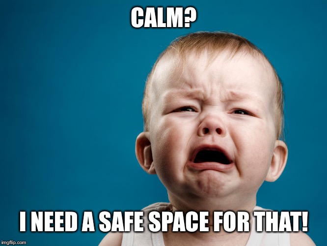 CALM? I NEED A SAFE SPACE FOR THAT! | made w/ Imgflip meme maker