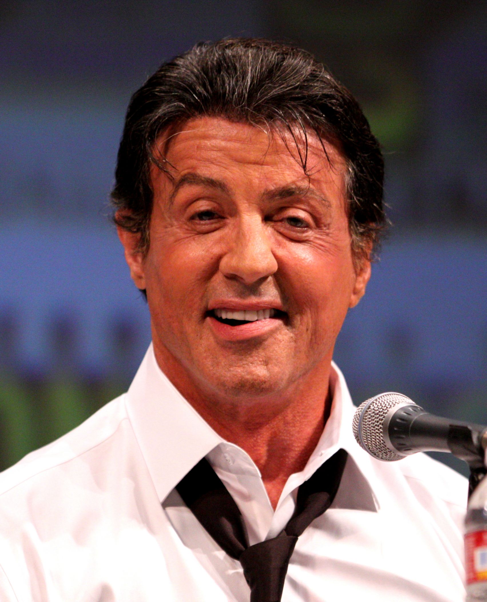 High Quality Alan Stallone Blank Meme Template