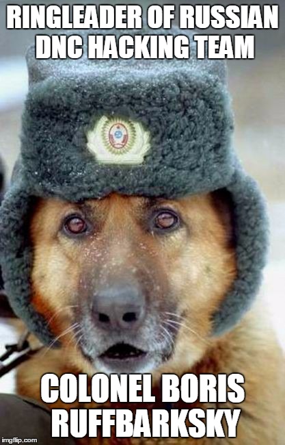 He reports directly to Vladimir Putin  | RINGLEADER OF RUSSIAN DNC HACKING TEAM; COLONEL BORIS RUFFBARKSKY | image tagged in russian_dog | made w/ Imgflip meme maker