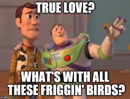 X, X Everywhere Meme | TRUE LOVE? WHAT'S WITH ALL THESE FRIGGIN' BIRDS? | image tagged in memes,x x everywhere | made w/ Imgflip meme maker