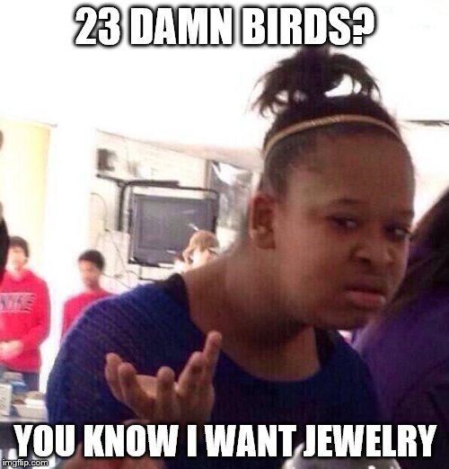 Black Girl Wat Meme | 23 DAMN BIRDS? YOU KNOW I WANT JEWELRY | image tagged in memes,black girl wat | made w/ Imgflip meme maker