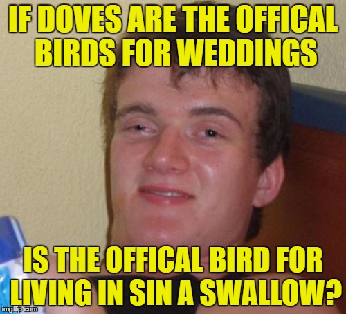 10 Guy Meme | IF DOVES ARE THE OFFICAL BIRDS FOR WEDDINGS; IS THE OFFICAL BIRD FOR LIVING IN SIN A SWALLOW? | image tagged in memes,10 guy | made w/ Imgflip meme maker