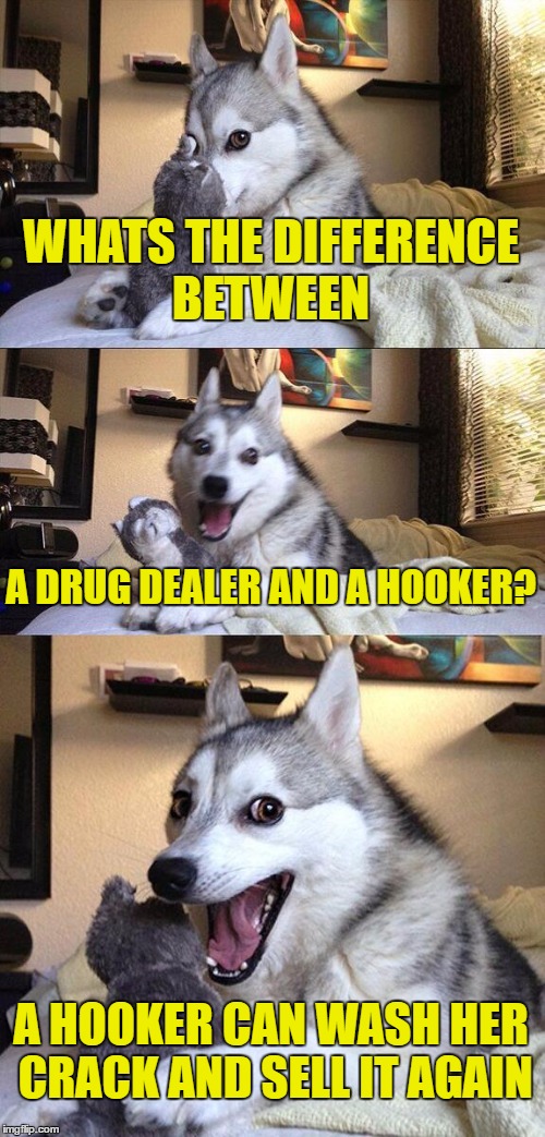Bad Pun Dog | WHATS THE DIFFERENCE BETWEEN; A DRUG DEALER AND A HOOKER? A HOOKER CAN WASH HER CRACK AND SELL IT AGAIN | image tagged in memes,bad pun dog | made w/ Imgflip meme maker