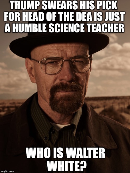 Trump's head of the DEA | TRUMP SWEARS HIS PICK FOR HEAD OF THE DEA IS JUST A HUMBLE SCIENCE TEACHER; WHO IS WALTER WHITE? | image tagged in donald trump | made w/ Imgflip meme maker