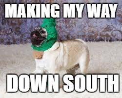 I wanted join in with a christmas meme once a day. | MAKING MY WAY; DOWN SOUTH | image tagged in dog,walking,meme | made w/ Imgflip meme maker