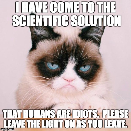 grumpy cat again | I HAVE COME TO THE SCIENTIFIC SOLUTION; THAT HUMANS ARE IDIOTS.  PLEASE LEAVE THE LIGHT ON AS YOU LEAVE. | image tagged in grumpy cat again | made w/ Imgflip meme maker