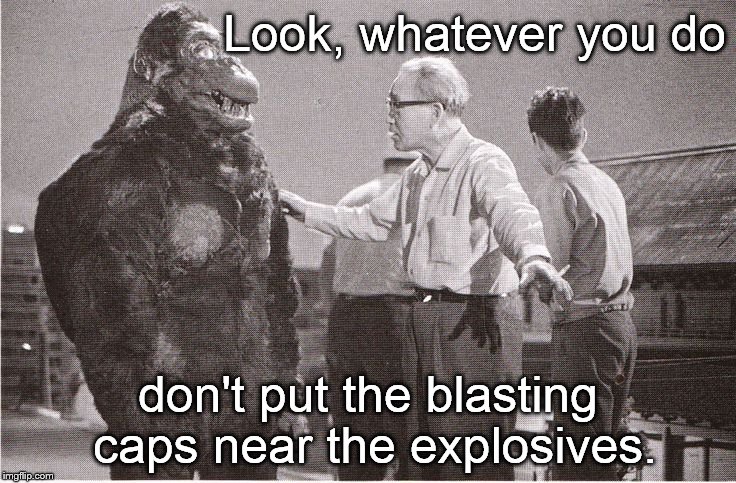 Kong with Director | Look, whatever you do don't put the blasting caps near the explosives. | image tagged in kong with director | made w/ Imgflip meme maker