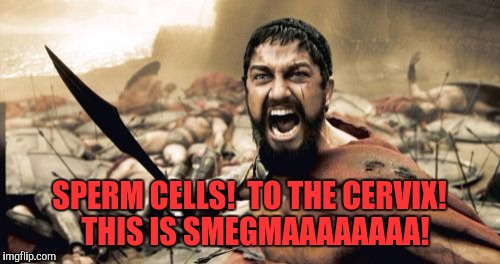 Sparta Leonidas Meme | SPERM CELLS!  TO THE CERVIX!  THIS IS SMEGMAAAAAAAA! | image tagged in memes,sparta leonidas | made w/ Imgflip meme maker