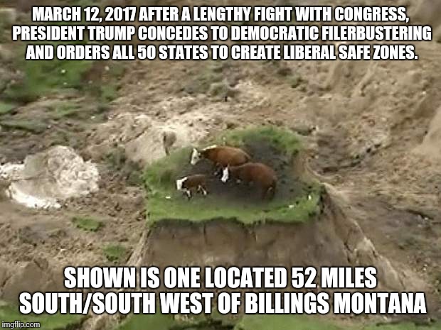Hawaii Just Cleared Out One of Its Leper Colony Islands | MARCH 12, 2017 AFTER A LENGTHY FIGHT WITH CONGRESS, PRESIDENT TRUMP CONCEDES TO DEMOCRATIC FILERBUSTERING AND ORDERS ALL 50 STATES TO CREATE LIBERAL SAFE ZONES. SHOWN IS ONE LOCATED 52 MILES SOUTH/SOUTH WEST OF BILLINGS MONTANA | image tagged in cow paddy,liberals,safe zone | made w/ Imgflip meme maker