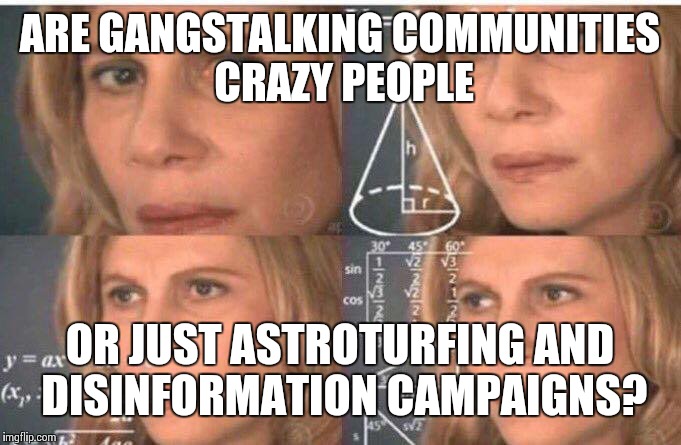 Math lady/Confused lady | ARE GANGSTALKING COMMUNITIES CRAZY PEOPLE; OR JUST ASTROTURFING AND DISINFORMATION CAMPAIGNS? | image tagged in math lady/confused lady | made w/ Imgflip meme maker