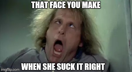Scary Harry Meme | THAT FACE YOU MAKE; WHEN SHE SUCK IT RIGHT | image tagged in memes,scary harry | made w/ Imgflip meme maker