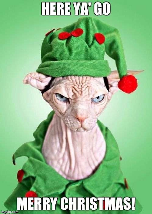 HERE YA' GO MERRY CHRISTMAS! | image tagged in feline grinch | made w/ Imgflip meme maker