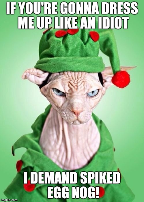 IF YOU'RE GONNA DRESS ME UP LIKE AN IDIOT; I DEMAND SPIKED EGG NOG! | image tagged in feline grinch | made w/ Imgflip meme maker