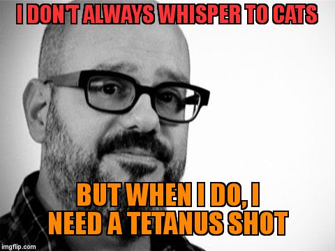 David Cross | I DON'T ALWAYS WHISPER TO CATS; BUT WHEN I DO, I NEED A TETANUS SHOT | image tagged in david cross | made w/ Imgflip meme maker