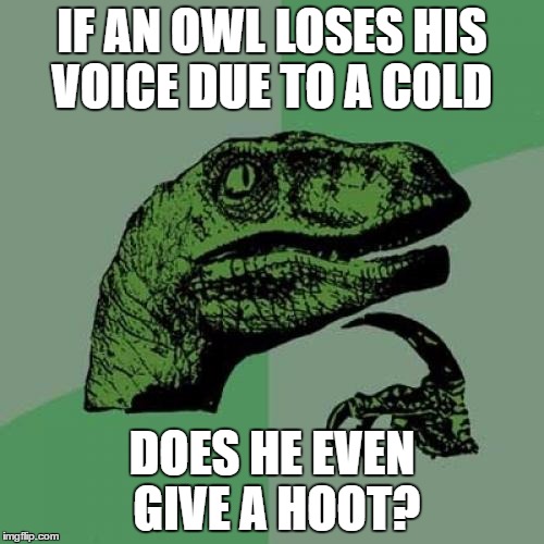 Philosoraptor | IF AN OWL LOSES HIS VOICE DUE TO A COLD; DOES HE EVEN GIVE A HOOT? | image tagged in memes,philosoraptor | made w/ Imgflip meme maker