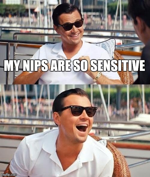 Leonardo Dicaprio Wolf Of Wall Street | MY NIPS ARE SO SENSITIVE | image tagged in memes,leonardo dicaprio wolf of wall street | made w/ Imgflip meme maker