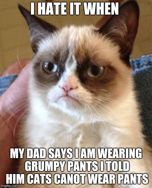 Grumpy Cat | I HATE IT WHEN; MY DAD SAYS I AM WEARING GRUMPY PANTS I TOLD HIM CATS CANOT WEAR PANTS | image tagged in memes,grumpy cat | made w/ Imgflip meme maker