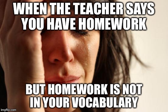 First World Problems Meme | WHEN THE TEACHER SAYS YOU HAVE HOMEWORK; BUT HOMEWORK IS NOT IN YOUR VOCABULARY | image tagged in memes,first world problems | made w/ Imgflip meme maker