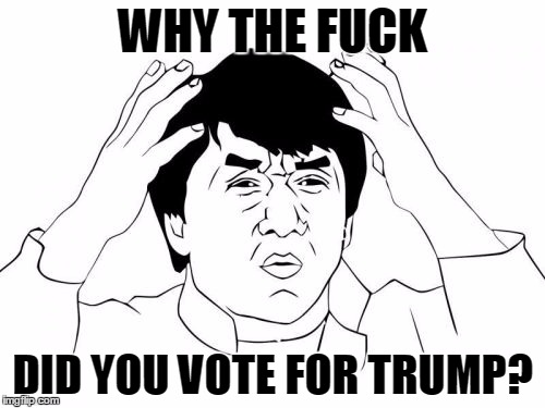 Jackie Chan WTF Meme | WHY THE FUCK; DID YOU VOTE FOR TRUMP? | image tagged in memes,jackie chan wtf | made w/ Imgflip meme maker