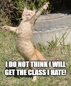 happy cat | I DO NOT THINK I WILL GET THE CLASS I HATE! | image tagged in happy,cat,kitten,class | made w/ Imgflip meme maker