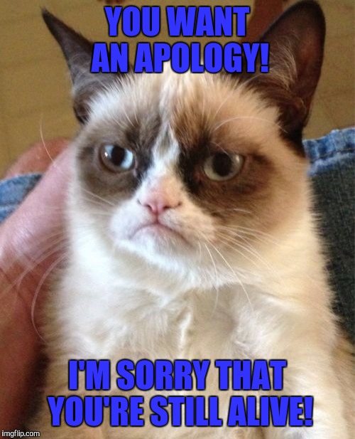 Grumpy Cat Meme | YOU WANT AN APOLOGY! I'M SORRY THAT YOU'RE STILL ALIVE! | image tagged in memes,grumpy cat | made w/ Imgflip meme maker