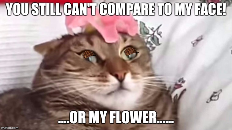 YOU STILL CAN'T COMPARE TO MY FACE! ....OR MY FLOWER...... | made w/ Imgflip meme maker