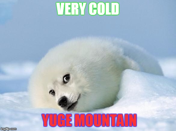 VERY COLD; YUGE MOUNTAIN | image tagged in doge,arctic,wolf | made w/ Imgflip meme maker