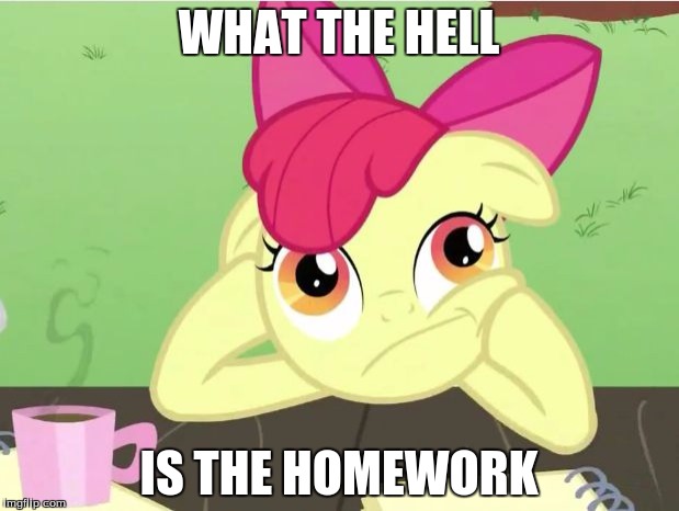 MLP MEME | WHAT THE HELL; IS THE HOMEWORK | image tagged in mlp meme | made w/ Imgflip meme maker