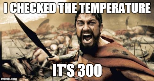 Sparta Leonidas Meme | I CHECKED THE TEMPERATURE IT'S 300 | image tagged in memes,sparta leonidas | made w/ Imgflip meme maker