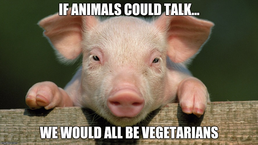 With Vegetarians | IF ANIMALS COULD TALK... WE WOULD ALL BE VEGETARIANS | image tagged in funny meme | made w/ Imgflip meme maker