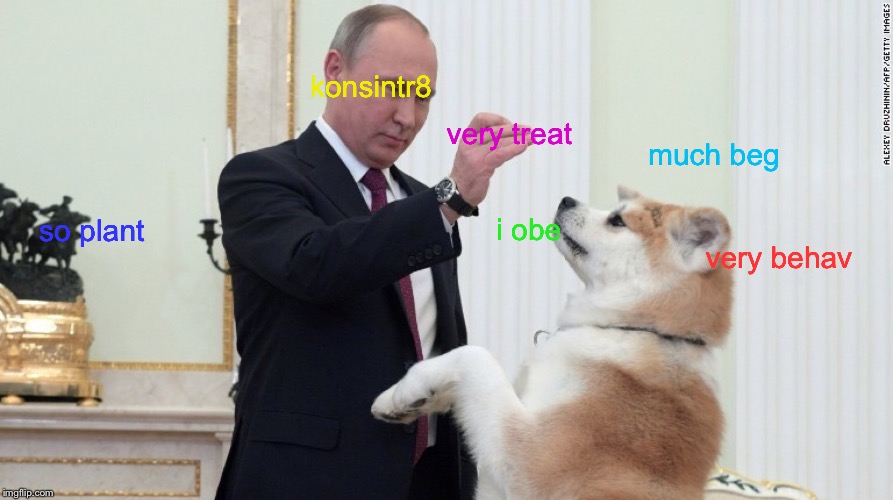 konsintr8; very treat; much beg; so plant; i obe; very behav | image tagged in russia doge | made w/ Imgflip meme maker