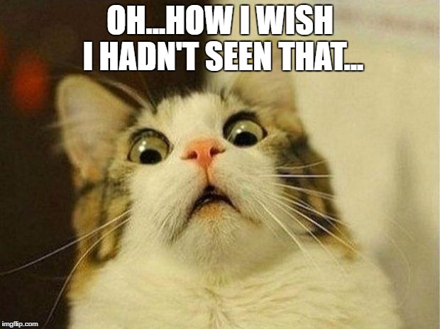 Scared Cat | OH...HOW I WISH I HADN'T SEEN THAT... | image tagged in memes,scared cat | made w/ Imgflip meme maker