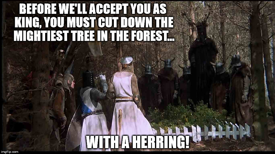 Sound like anybody we know? | BEFORE WE'LL ACCEPT YOU AS KING, YOU MUST CUT DOWN THE MIGHTIEST TREE IN THE FOREST... WITH A HERRING! | image tagged in herring,knights who say ni,democrats | made w/ Imgflip meme maker