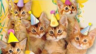 Birthday Cats Blank Meme Template