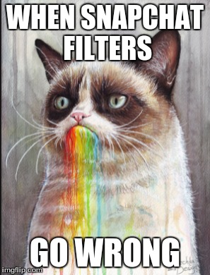 WHEN SNAPCHAT FILTERS; GO WRONG | image tagged in snapchat,grumpy cat,rainbows | made w/ Imgflip meme maker