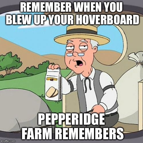 Pepperidge Farm Remembers Meme | REMEMBER WHEN YOU BLEW UP YOUR HOVERBOARD; PEPPERIDGE FARM REMEMBERS | image tagged in memes,pepperidge farm remembers | made w/ Imgflip meme maker