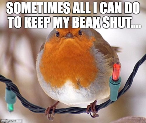 Bah Humbug | SOMETIMES ALL I CAN DO TO KEEP MY BEAK SHUT.... | image tagged in memes,bah humbug | made w/ Imgflip meme maker