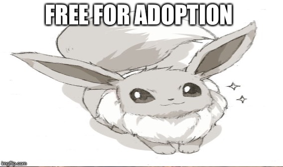 FREE FOR ADOPTION | made w/ Imgflip meme maker