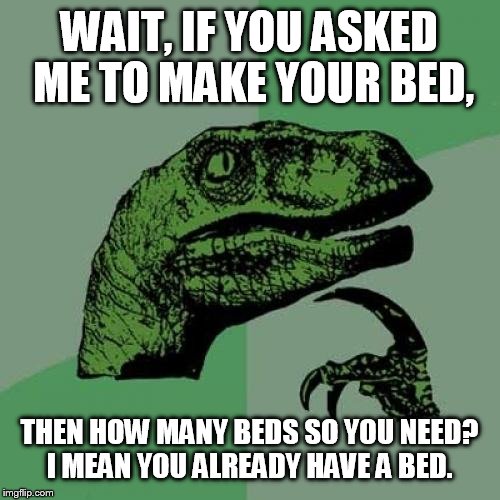 Philosoraptor | WAIT, IF YOU ASKED ME TO MAKE YOUR BED, THEN HOW MANY BEDS SO YOU NEED? I MEAN YOU ALREADY HAVE A BED. | image tagged in memes,philosoraptor | made w/ Imgflip meme maker
