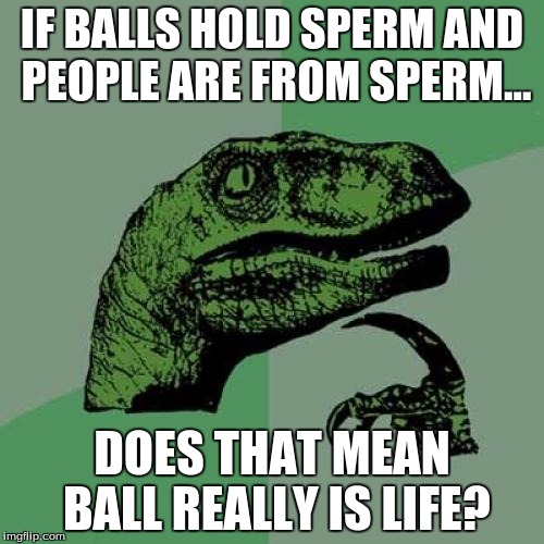 Philosoraptor | IF BALLS HOLD SPERM AND PEOPLE ARE FROM SPERM... DOES THAT MEAN BALL REALLY IS LIFE? | image tagged in memes,philosoraptor | made w/ Imgflip meme maker