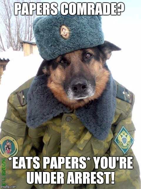 Russian Security Agent Mikhail Woofapov  | PAPERS COMRADE? *EATS PAPERS* YOU'RE UNDER ARREST! | image tagged in russian dog | made w/ Imgflip meme maker