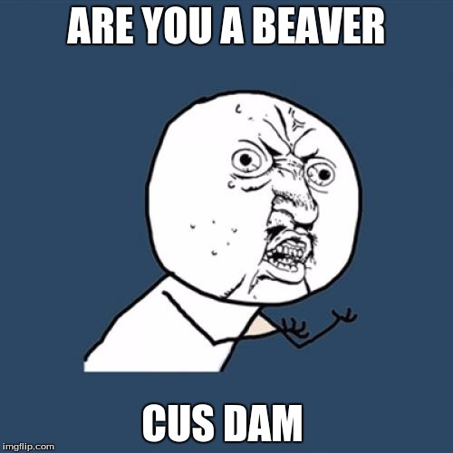 Y U No Meme | ARE YOU A BEAVER; CUS DAM | image tagged in memes,y u no | made w/ Imgflip meme maker