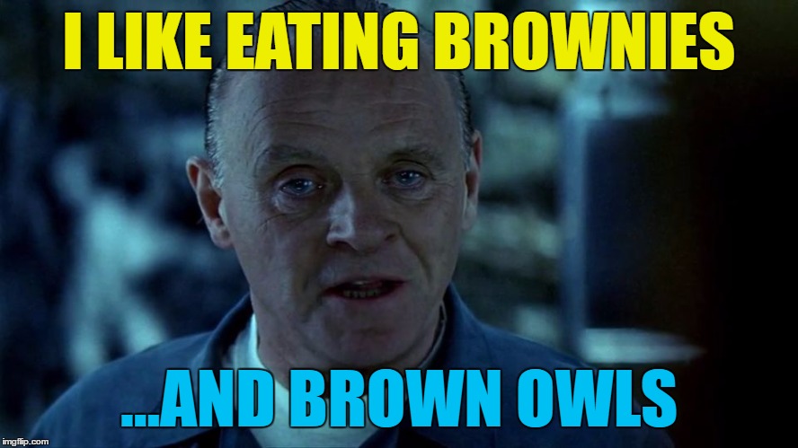 I LIKE EATING BROWNIES ...AND BROWN OWLS | made w/ Imgflip meme maker