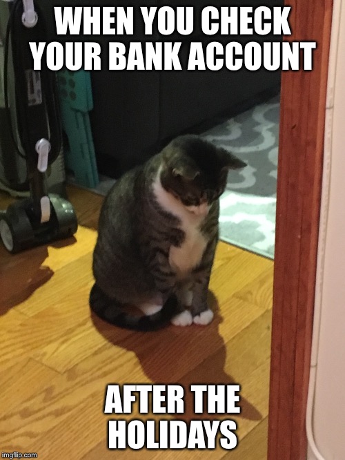 Max is a Meme | WHEN YOU CHECK YOUR BANK ACCOUNT; AFTER THE HOLIDAYS | image tagged in when you,bank account,happy holidays,that moment when | made w/ Imgflip meme maker