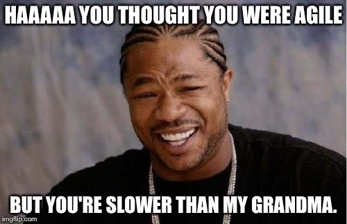 Yo Dawg Heard You | HAAAAA YOU THOUGHT YOU WERE AGILE; BUT YOU'RE SLOWER THAN MY GRANDMA. | image tagged in memes,yo dawg heard you | made w/ Imgflip meme maker
